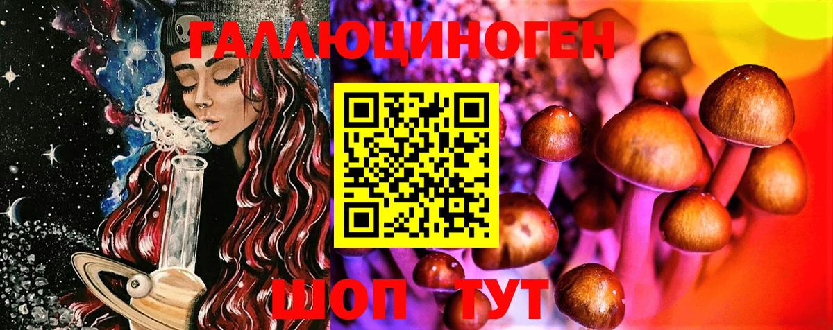 Орёл  дарнет шоп  Вход с VPN  Псилоцибиновые грибы Psilocybe 